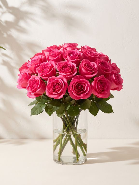  HOT PINK ROSES